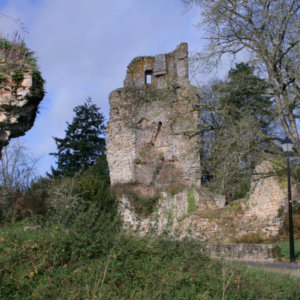 Château de Saint-Aubin-du-Cormier (Ille-et-Vilaine)