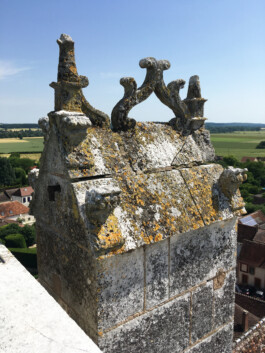 Eglise Saint-Martial de Seignelay 